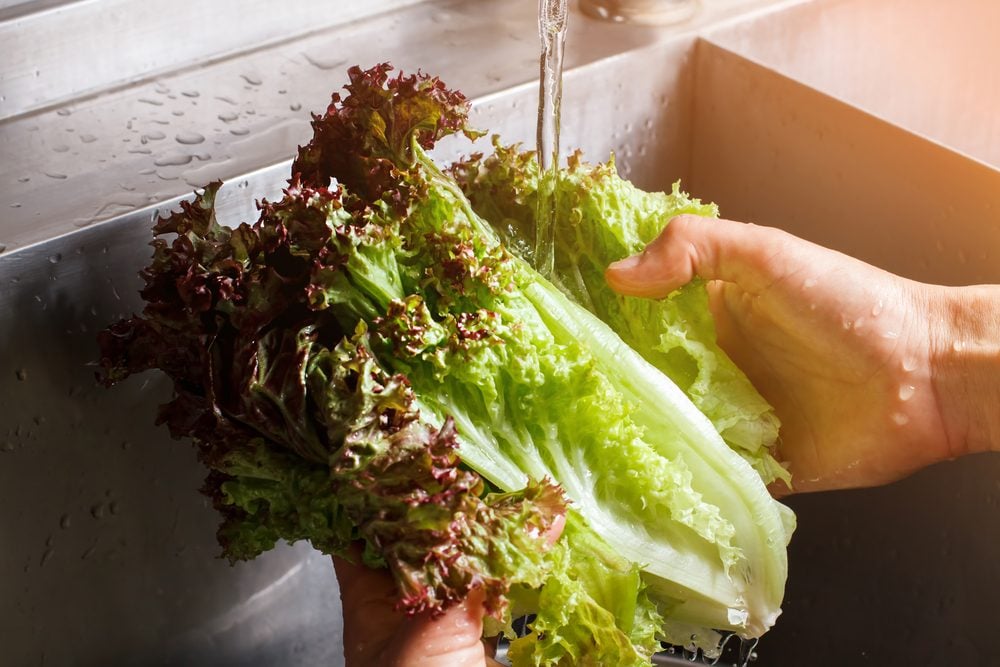 Can This Paper Help Keep Your Lettuce Fresh for More Than a Week?