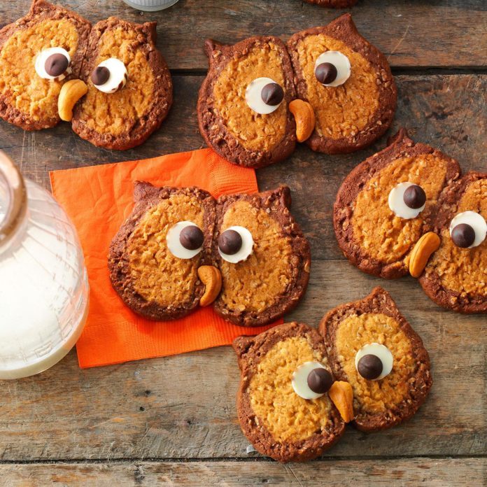 Owl Cookies