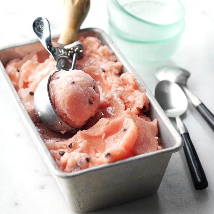 Watermelon Chocolate Chip Sorbet