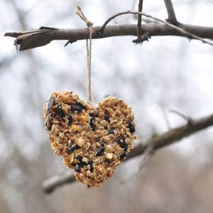 Heart-shaped bird feeder