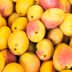 The Weird Reason That Mango Makes Your Mouth Itch