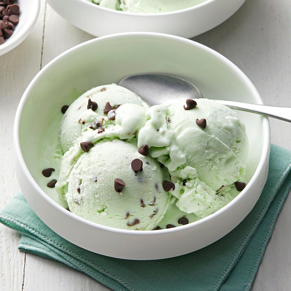 Mint Chocolate Chip Ice Cream