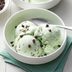 Mint Chocolate Chip Ice Cream