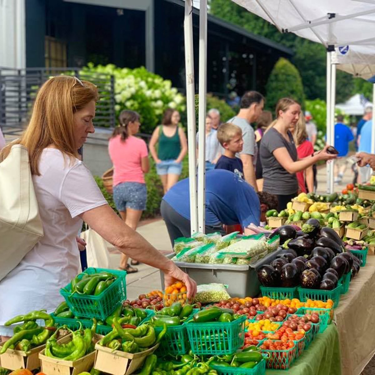 The Best Farmers Market in Every State I Taste of Home