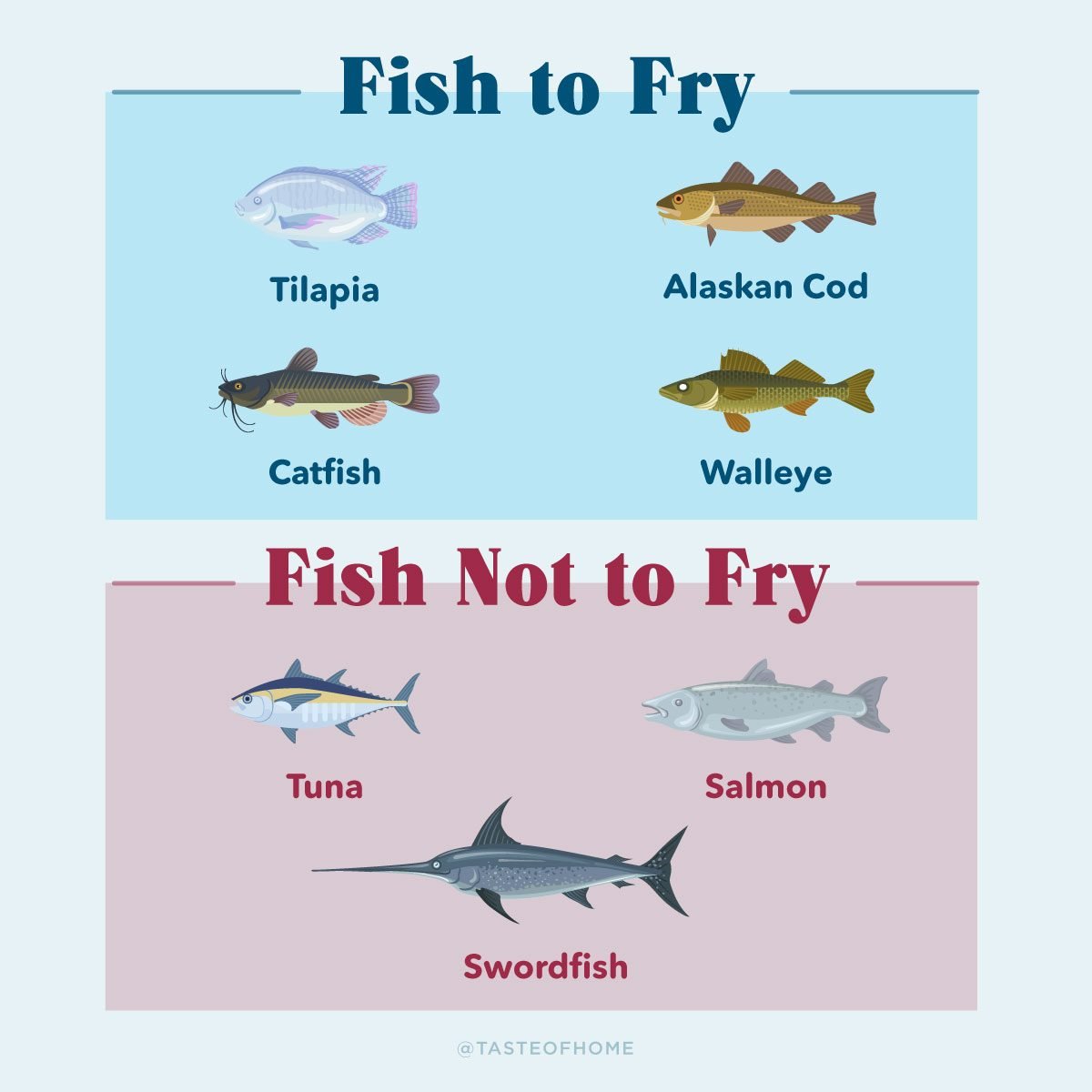 Types Of Fish: Examples Of Fish From Around The World