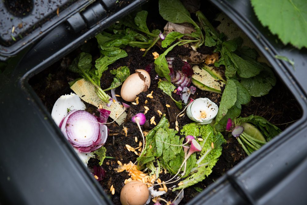 composting food scraps recycling        <h3 class=