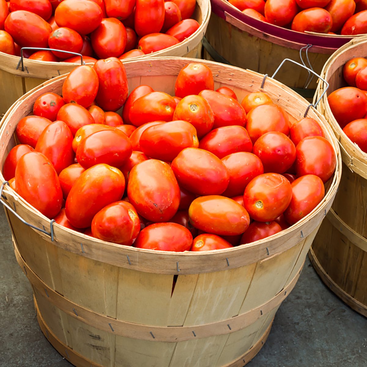 Many Roma tomatoes in baskets at the market