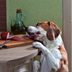 9 Quick, Easy Ways to Pet-Proof Your Home