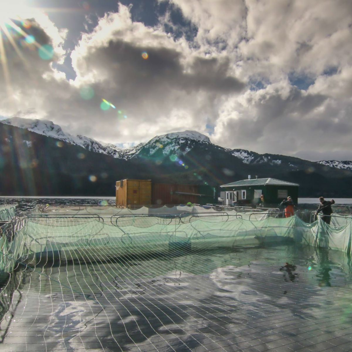 Macaulay Farm, Alaska