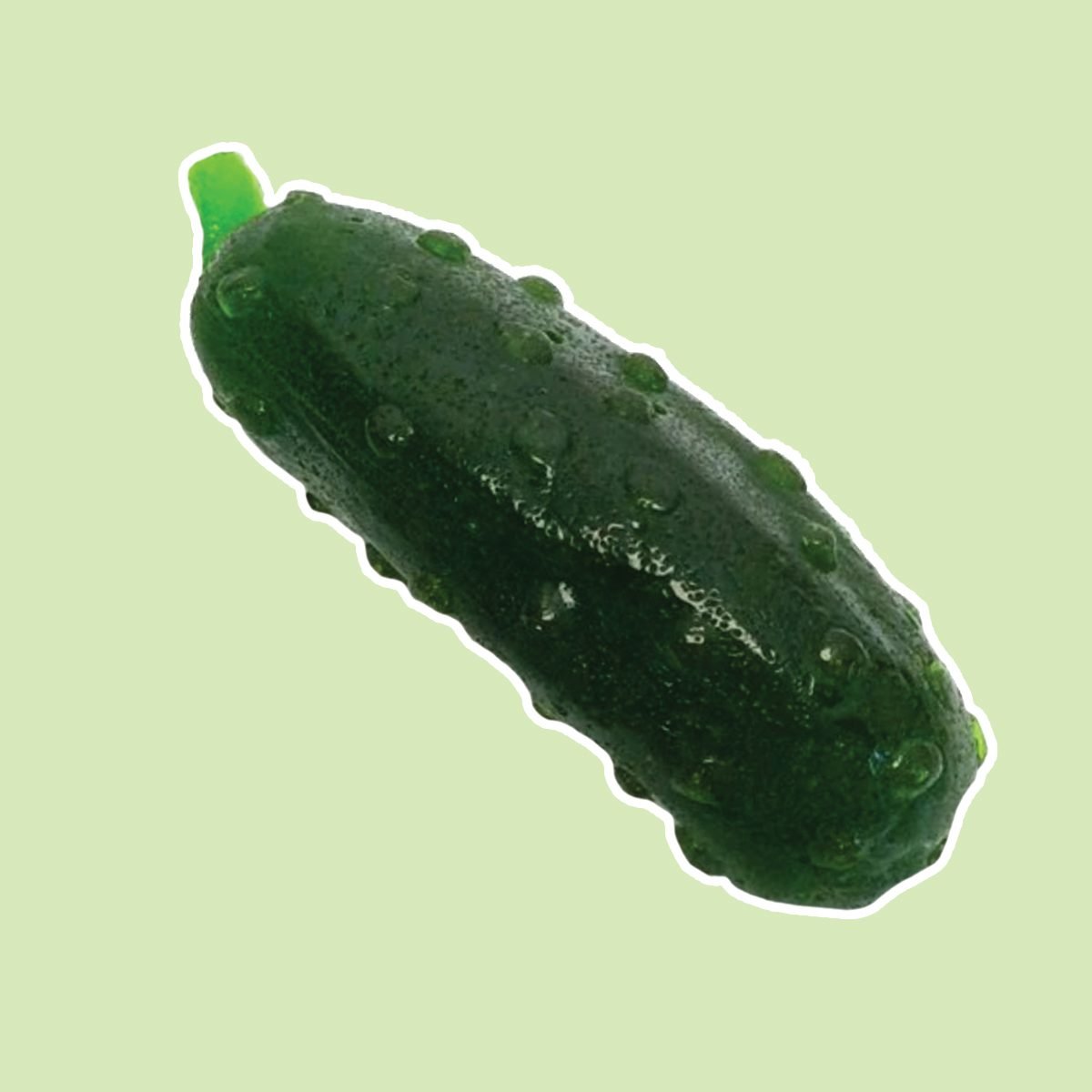 Gummi Pickle