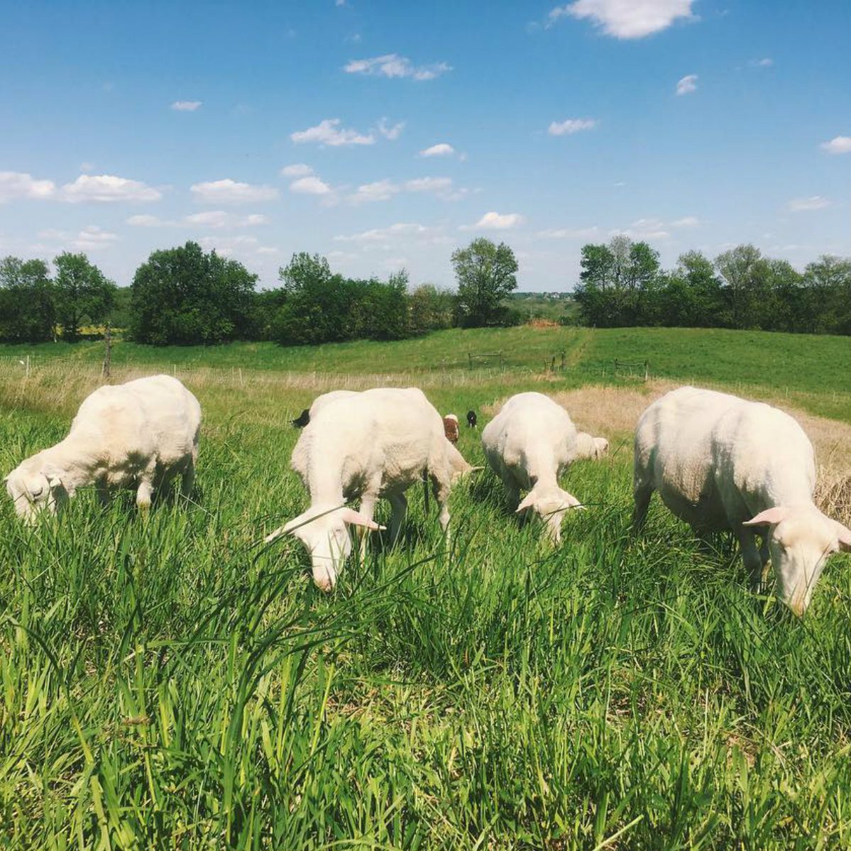 best farm tour missouri