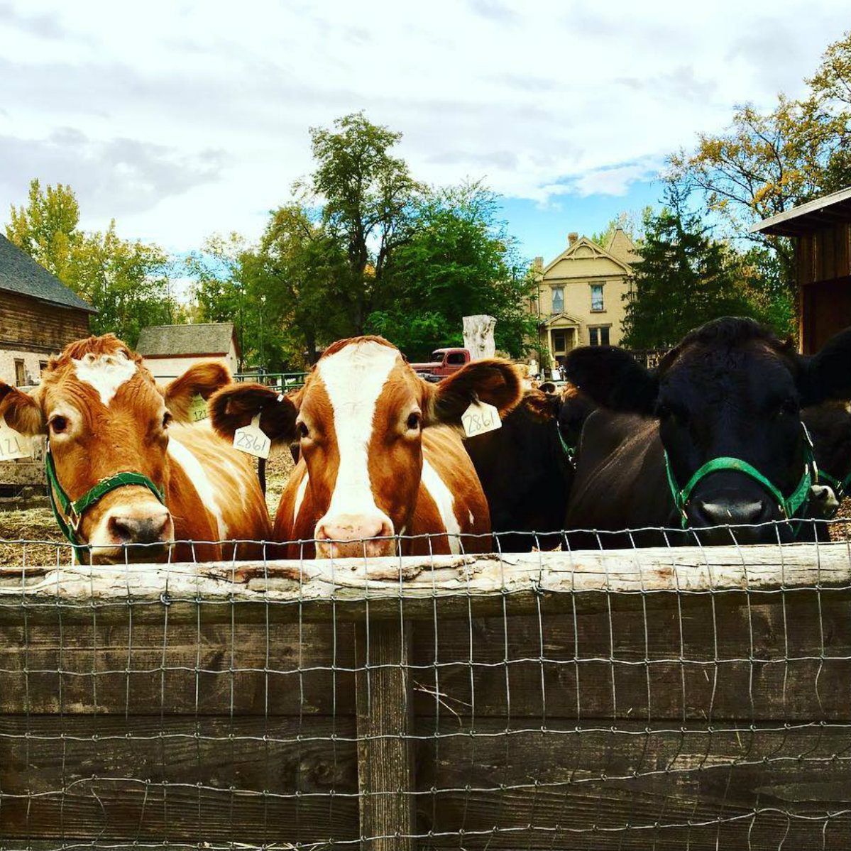 wheeler historic farm tour utah