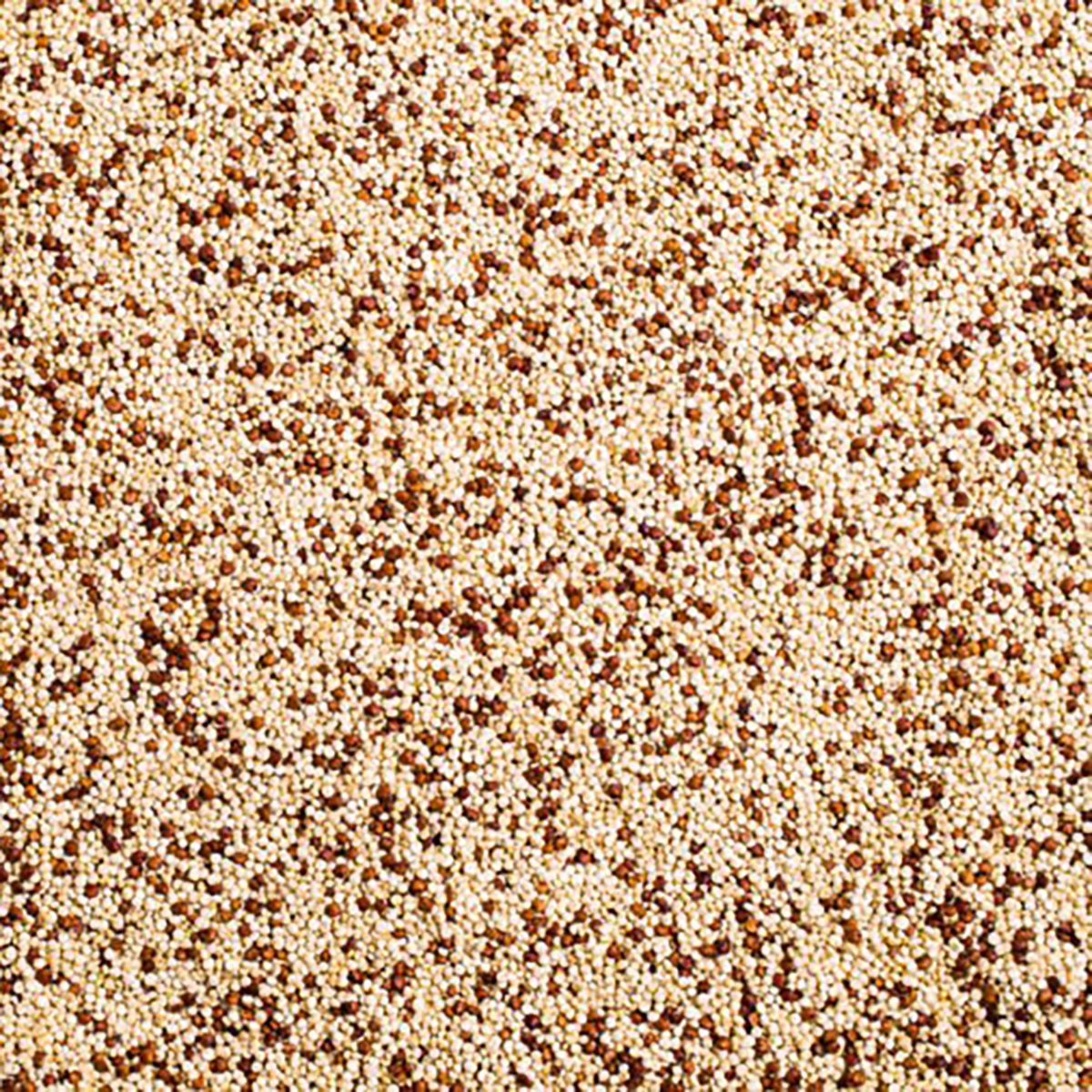 mixed color quinoa