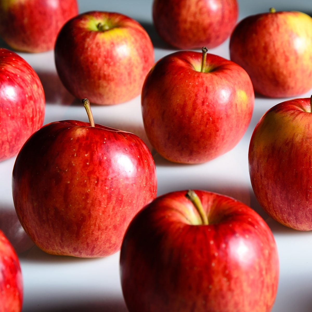 Big Envy apple harvest expected for holiday season - Organic Grower