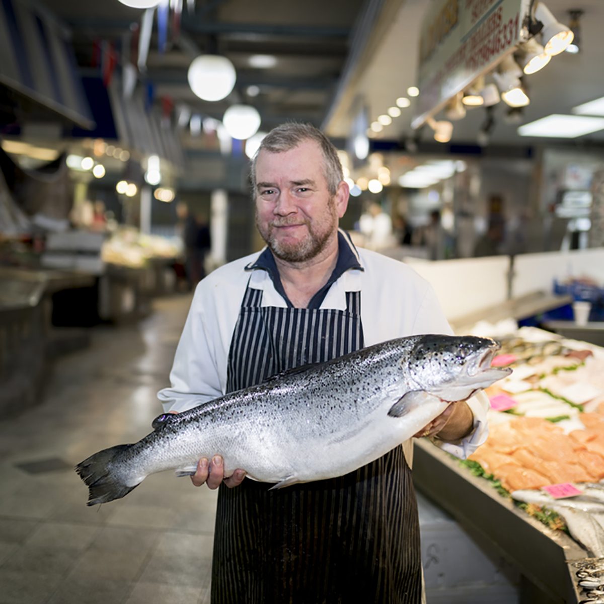 Male fishmonger wearing an apron holding large and whole salmon fish in front of display counter early in the morning on a market in England.