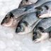 7 Secrets to Finding the Freshest Fish