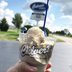 10 Things You Didn't Know About Culver's Restaurants