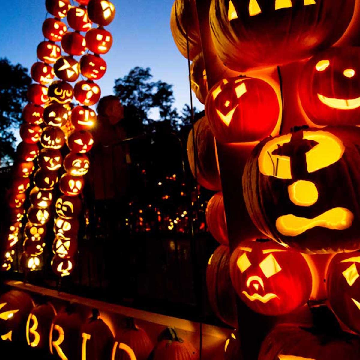 The Best Pumpkin Patch in Every State