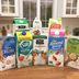 Our Definitive Ranking of Nondairy Milks