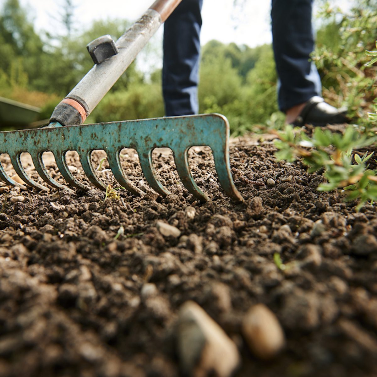 Gardening