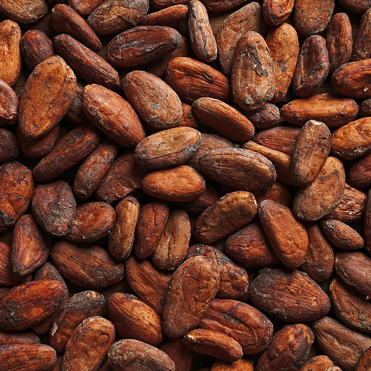 cocoa beans