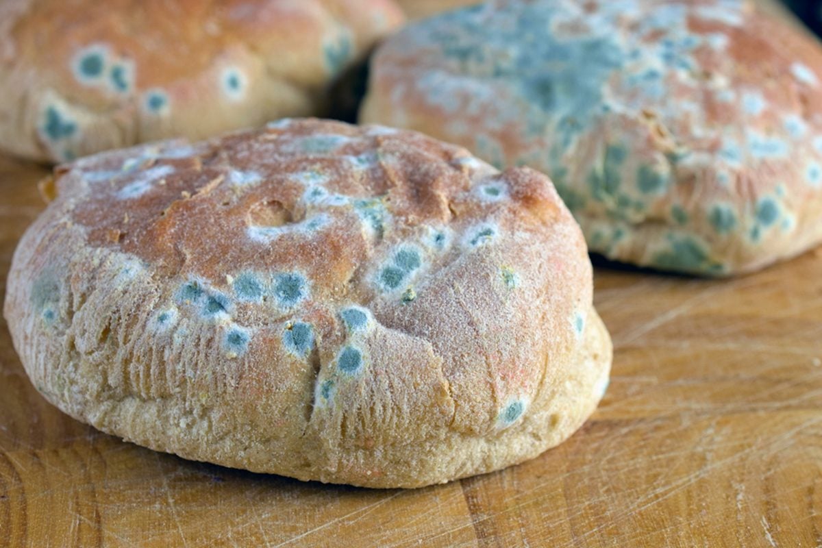 Is It Safe To Eat Moldy Bread?
