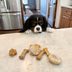How to Make Homemade Peanut Butter Dog Treats