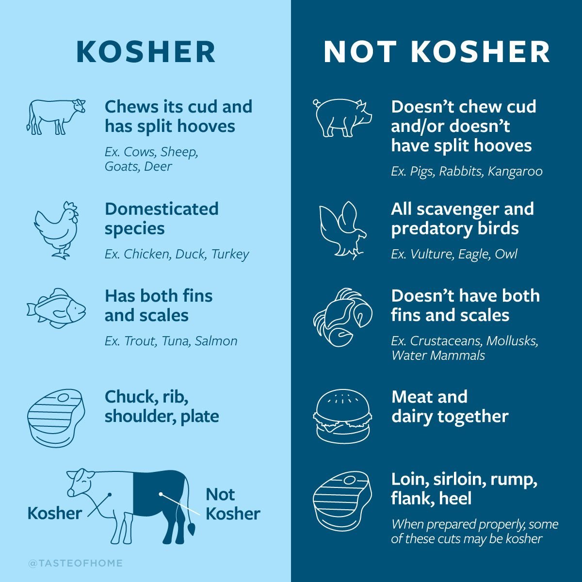 Kosher Vs Not Kosher Graphic UD ?w=1200