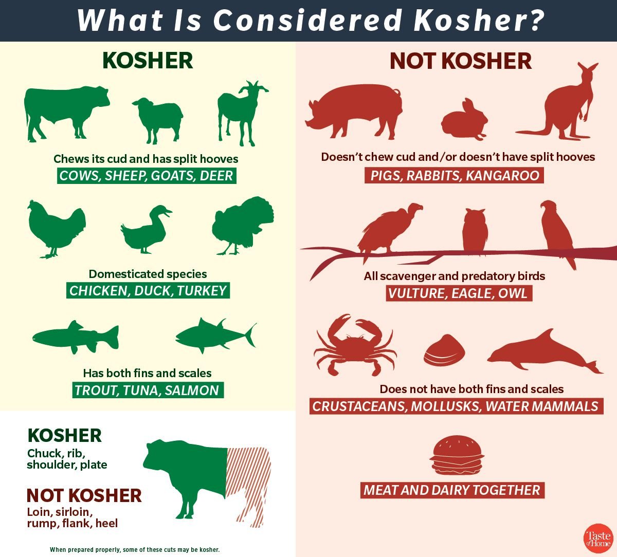 Kosher Food Pyramid