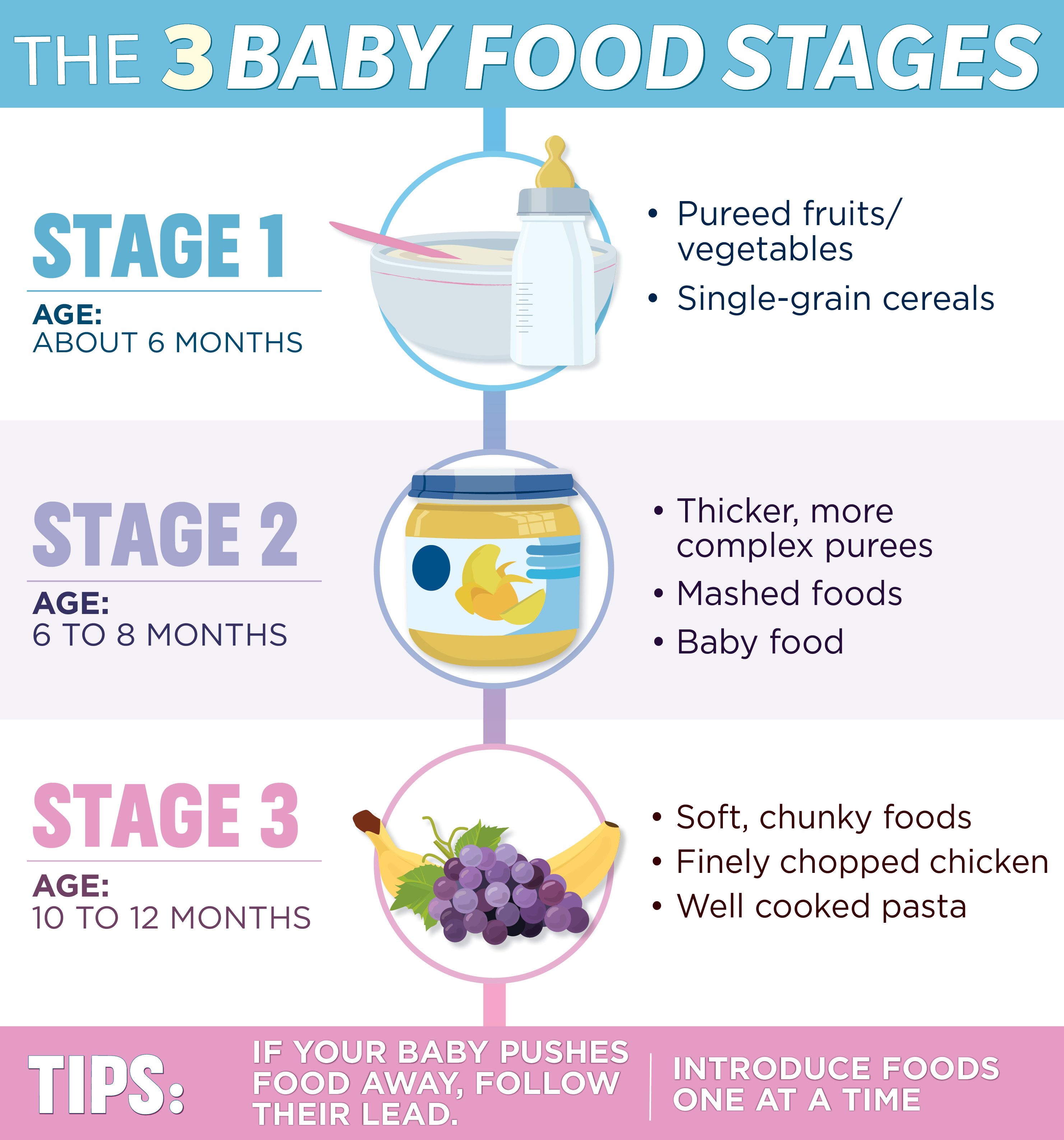 베이비식기 단계 infographic