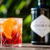 The Best Gins for Making a Negroni Cocktail