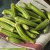 9 Ways That Okra Benefits Your Health