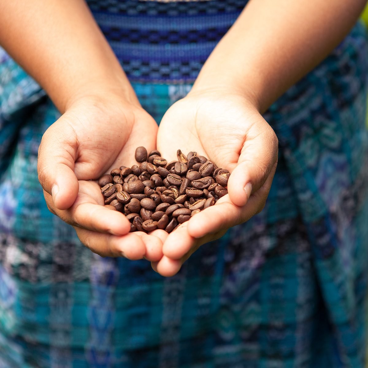 Handful of fresh organic coffee beans.