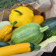 9 Types Of Summer Squash and How To Cook Them 