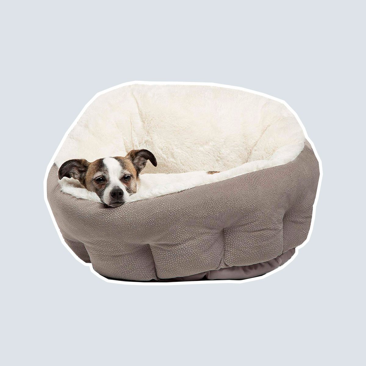 Cozy dog bed