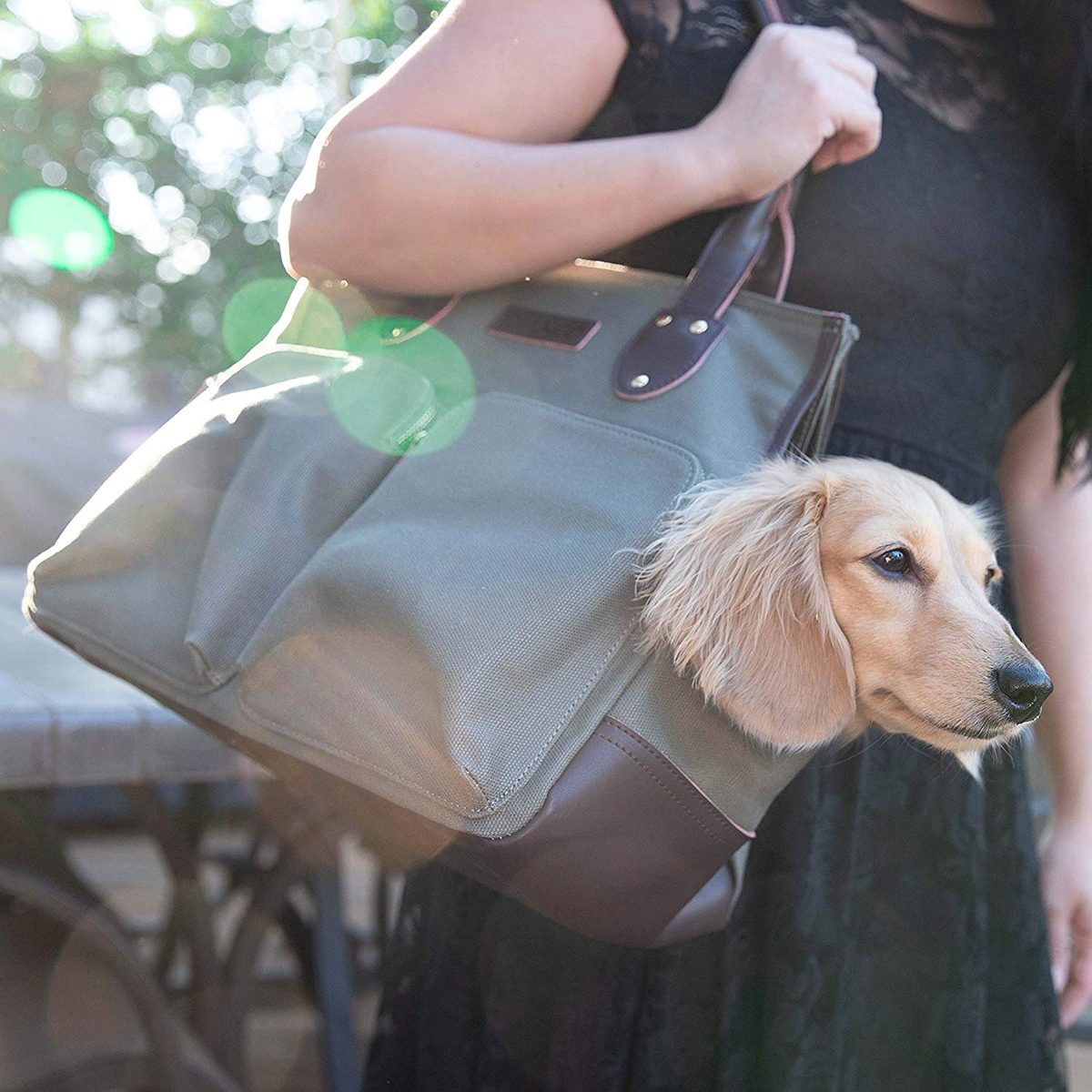 DJANGO Dog Carry Bag