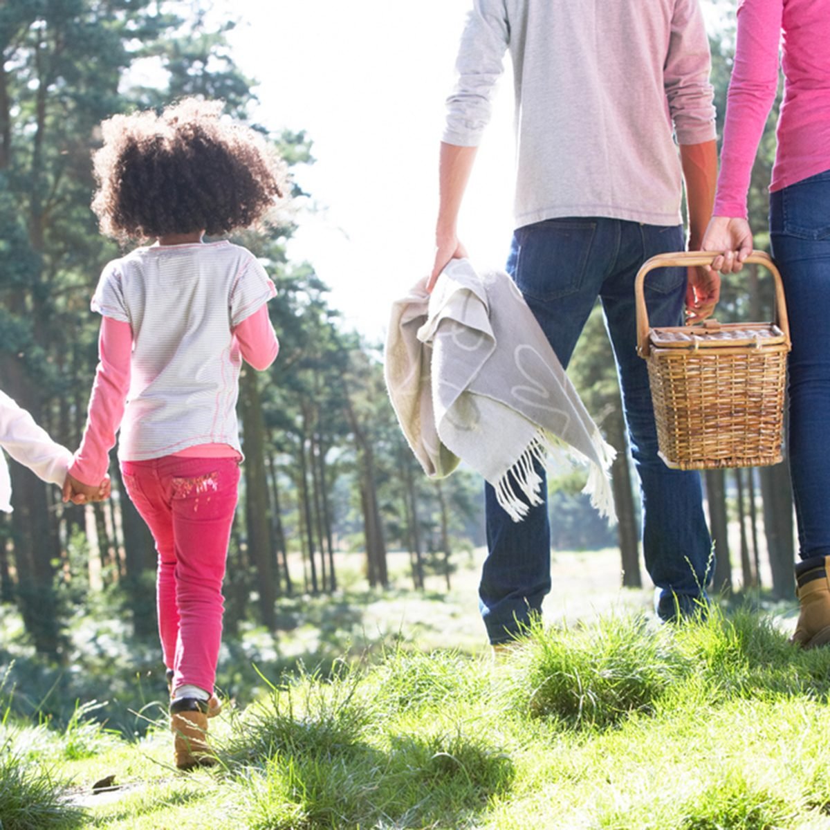 Family Having Picnic In Countryside