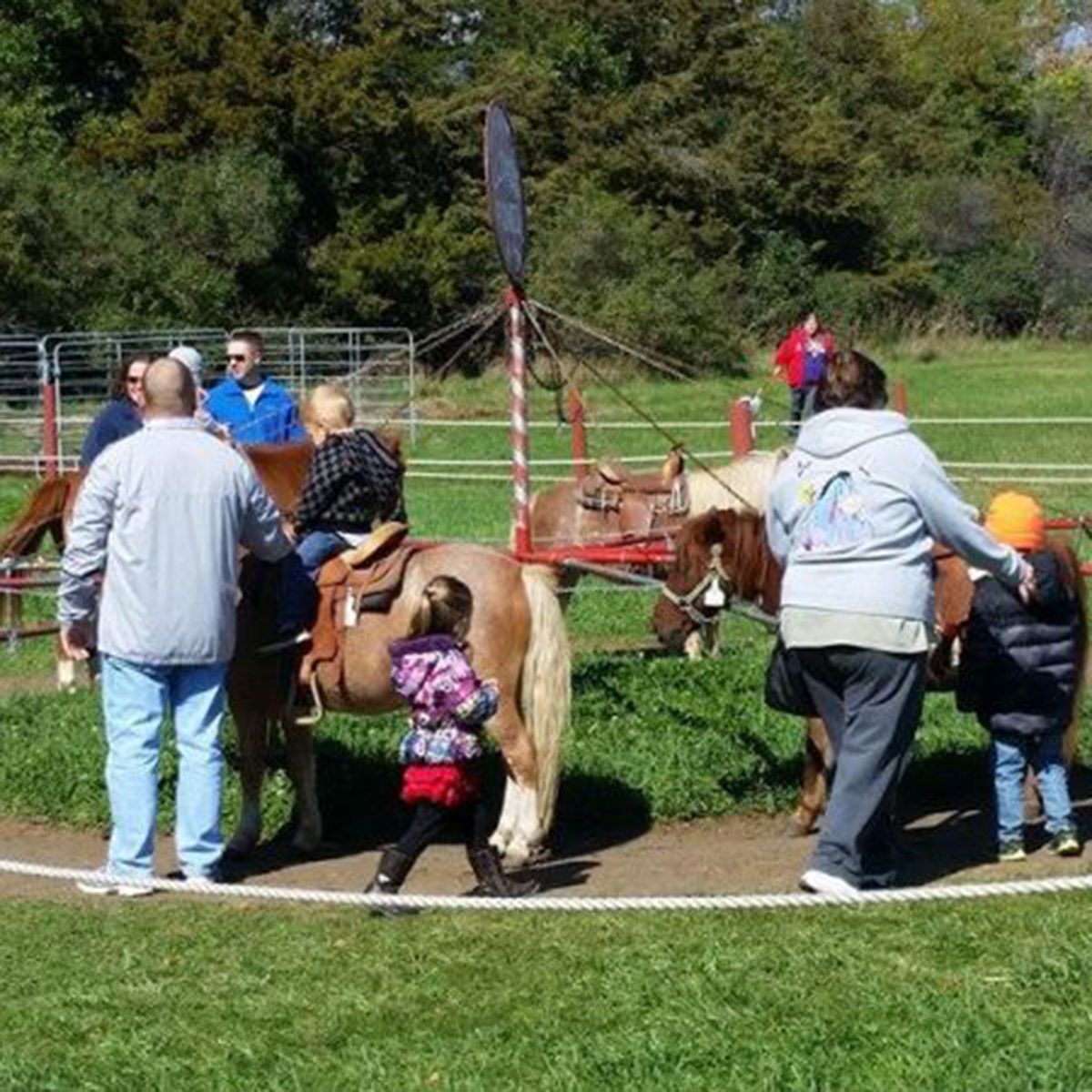 Pony rides