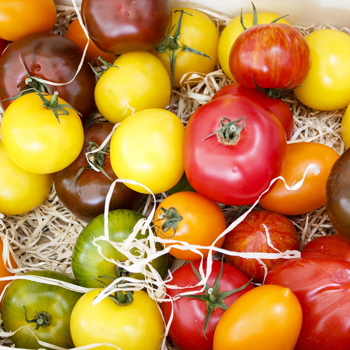 Variety of multi-colored tomatoes on a srtaw at one of Parisian food markets; Shutterstock ID 150962780; Job (TFH, TOH, RD, BNB, CWM, CM): Taste of Home