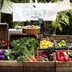 The Healthiest Vegetables You Can Buy at the Farmers Market