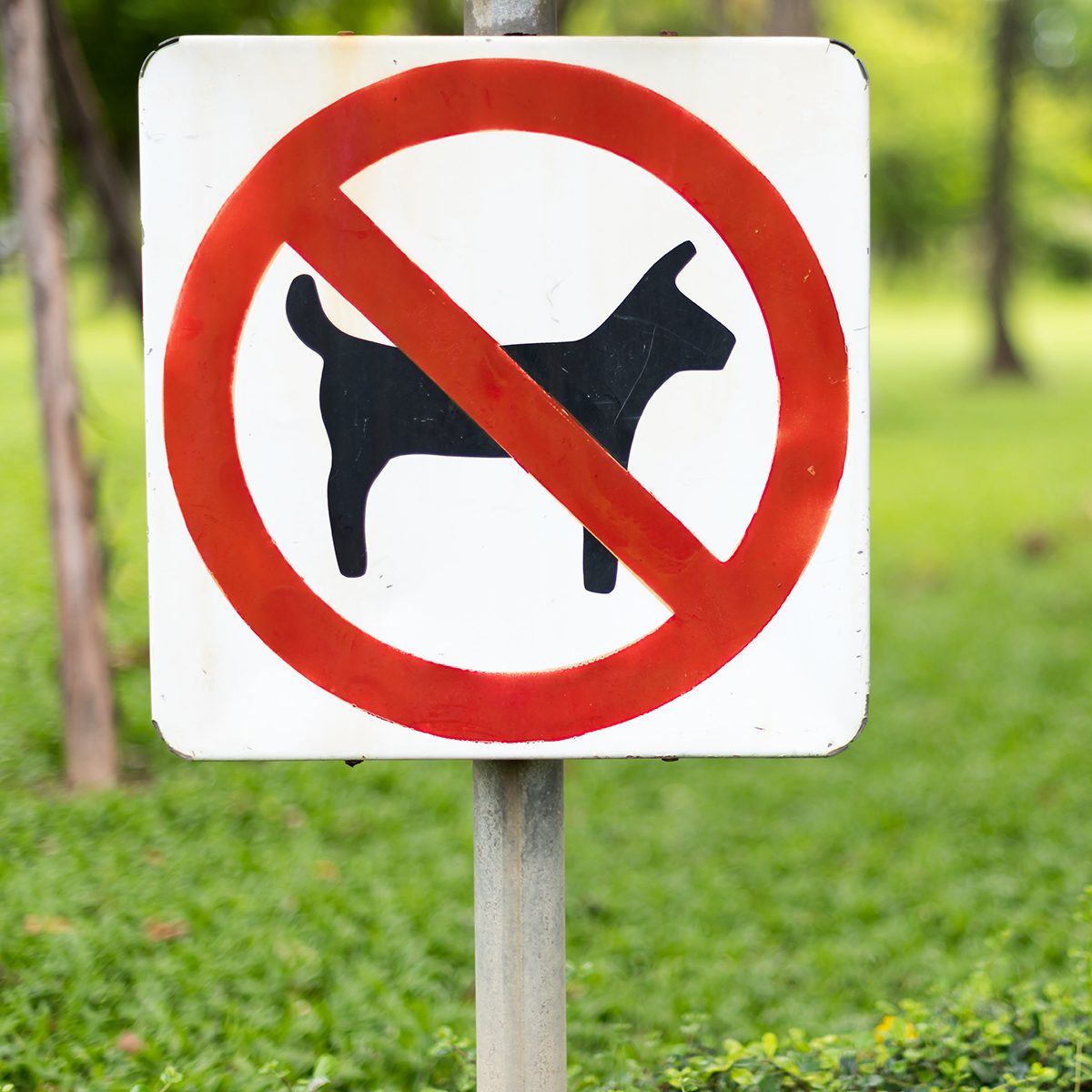 No dog sign