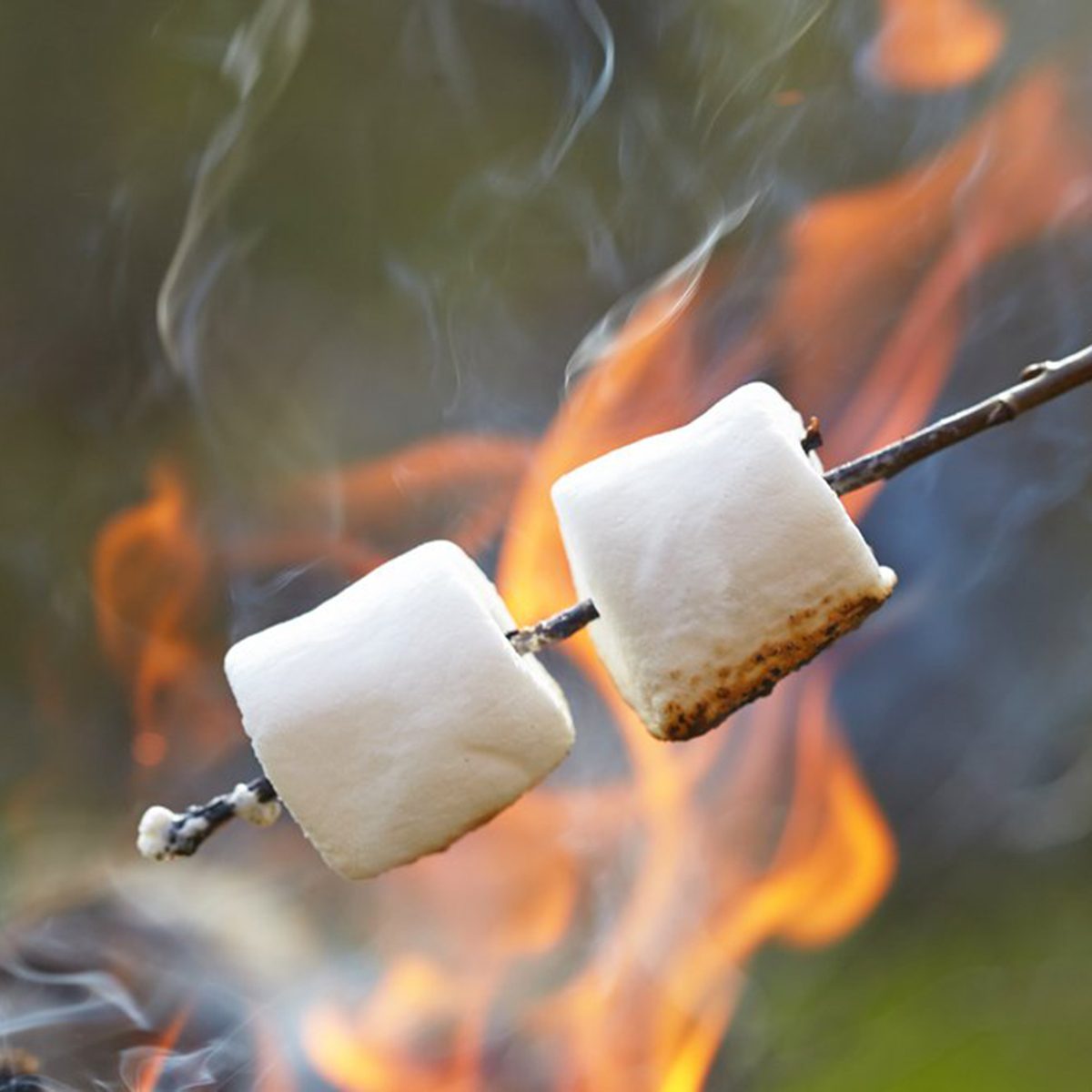 Marshmallows on a stick