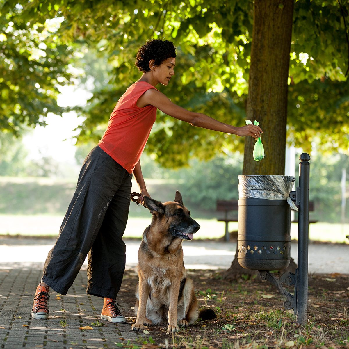 Pet owner throwing out dog poop in park