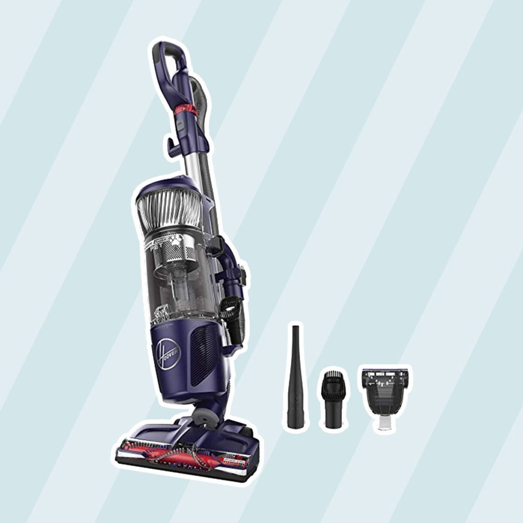 14 Best Vacuums for Dog and Cat Hair - Global Recipe