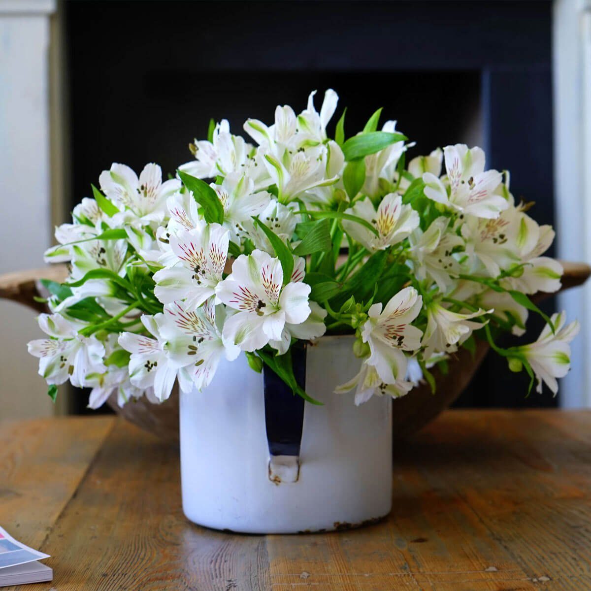 coffee mug planter