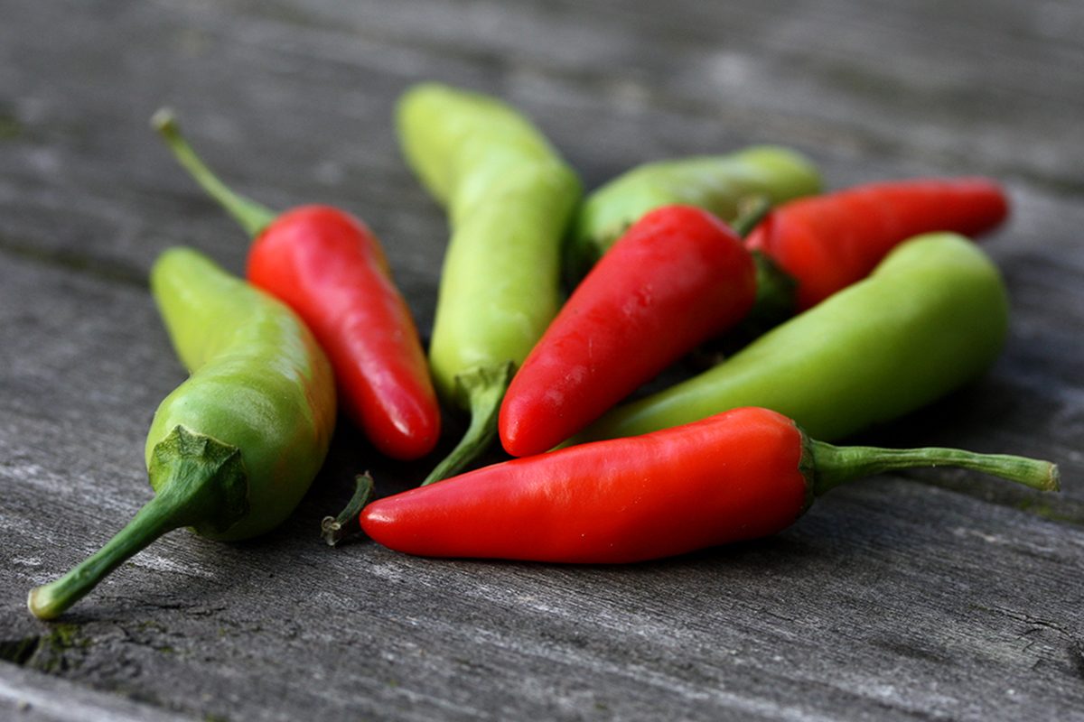 Red and green bird's eye chili peppers on an old wooden grey garden table