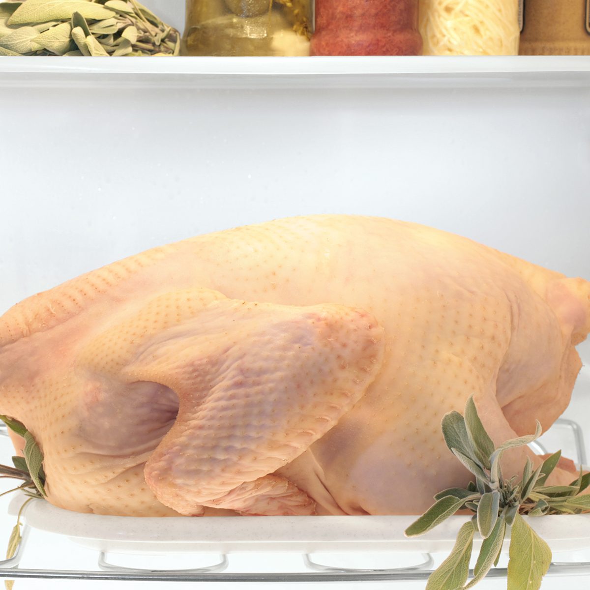 A fresh raw plucked turkey in refrigerator, become tender