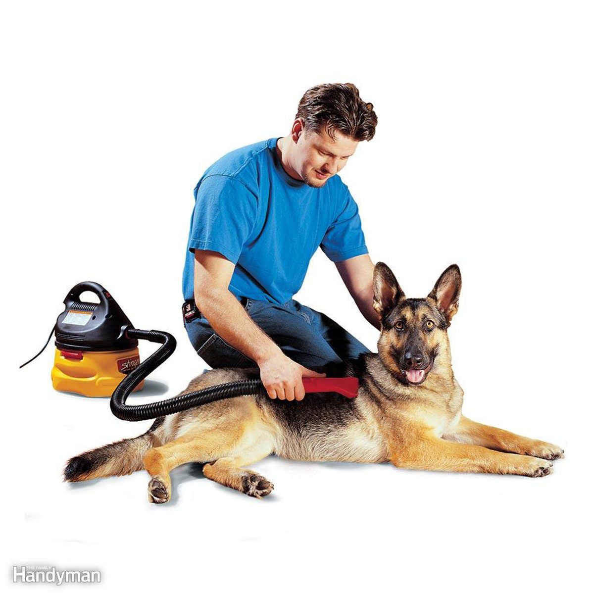 Man vacuuming german shepard's fur
