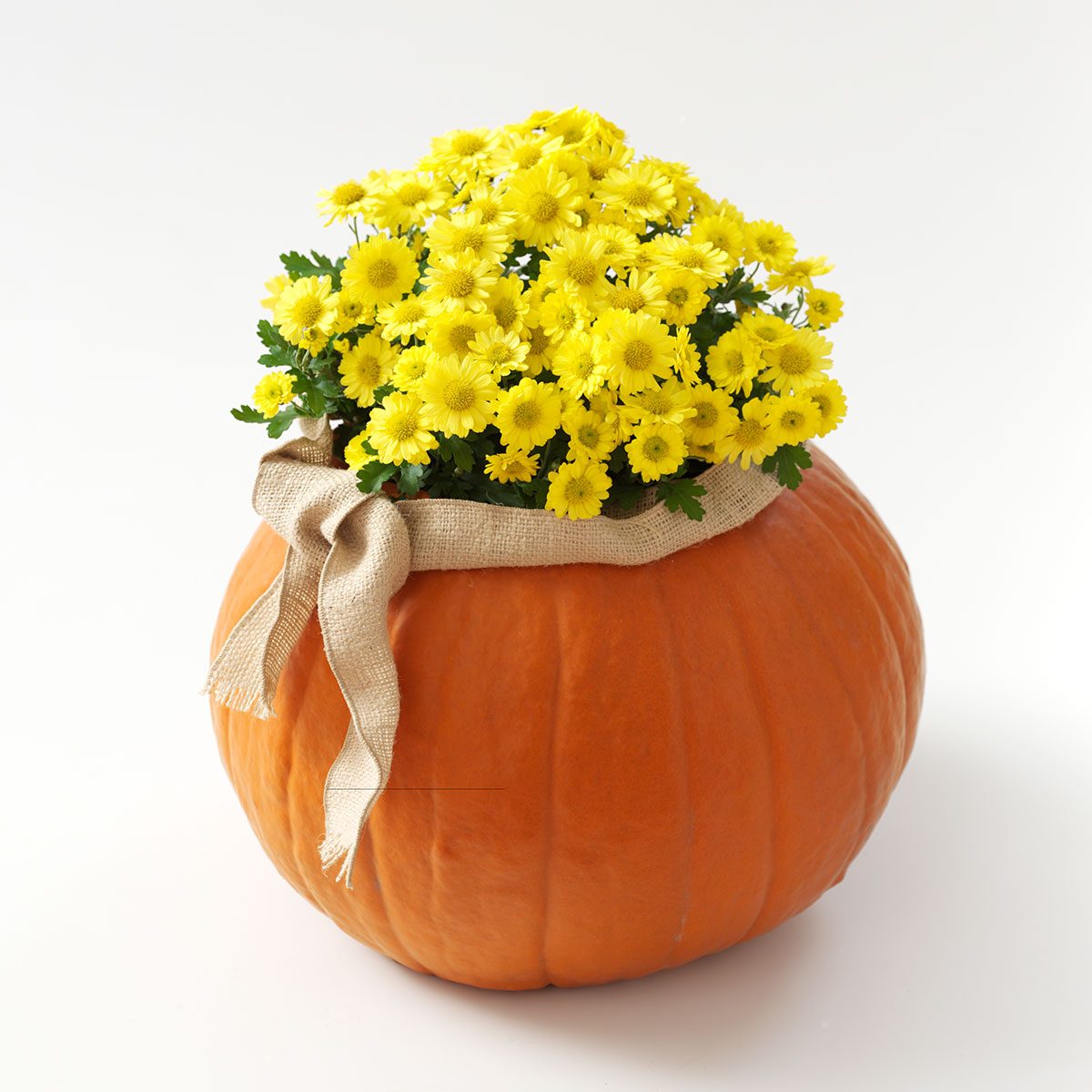 Flower vase pumpkin