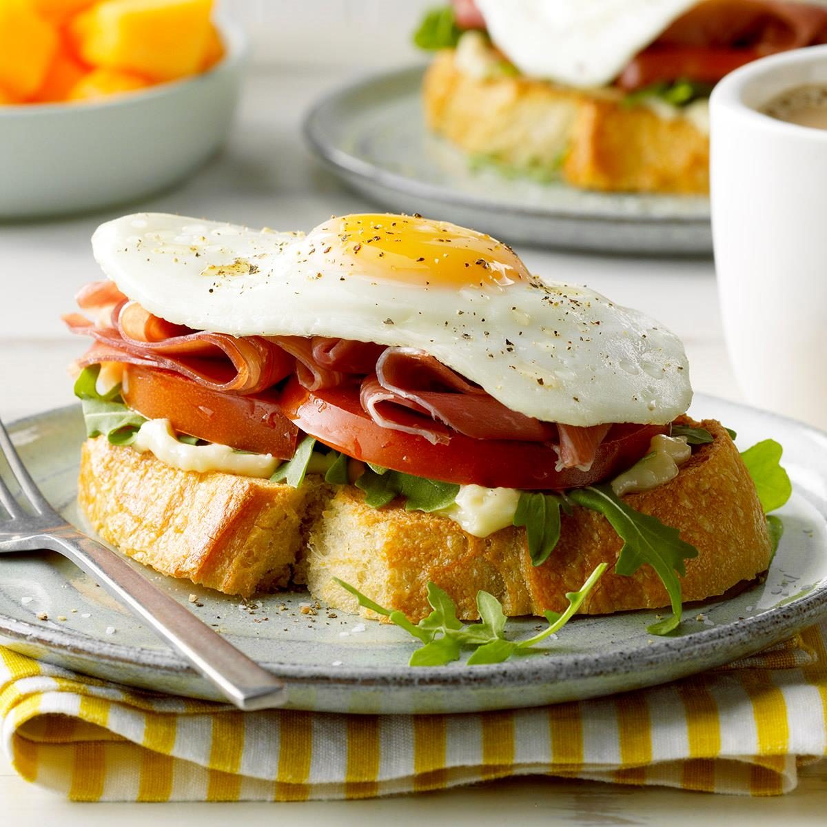https://www.tasteofhome.com/wp-content/uploads/2019/11/Open-Faced-Prosciutto-and-Egg-Sandwich_EXPS_TOHAM20_58152_E11_07_2b-1.jpg?fit=700%2C1024